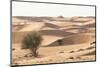 Desert with sand. Abu Dhabi, United Arab Emirates.-Tom Norring-Mounted Photographic Print