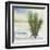 Desert Yucca Cool-Chris Paschke-Framed Art Print