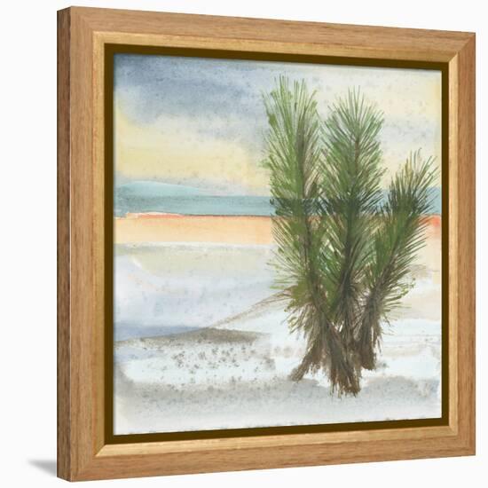 Desert Yucca Cool-Chris Paschke-Framed Stretched Canvas