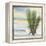 Desert Yucca Cool-Chris Paschke-Framed Stretched Canvas