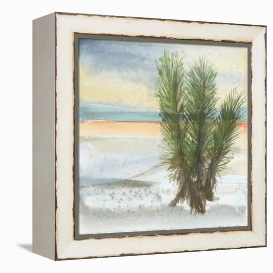 Desert Yucca Cool-Chris Paschke-Framed Stretched Canvas