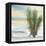 Desert Yucca Cool-Chris Paschke-Framed Stretched Canvas