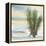 Desert Yucca Cool-Chris Paschke-Framed Stretched Canvas