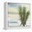 Desert Yucca Cool-Chris Paschke-Framed Stretched Canvas