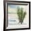 Desert Yucca Cool-Chris Paschke-Framed Art Print