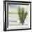 Desert Yucca Cool-Chris Paschke-Framed Art Print