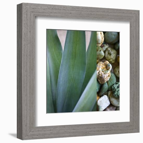 Desert Zen III-Sidney Aver-Framed Art Print