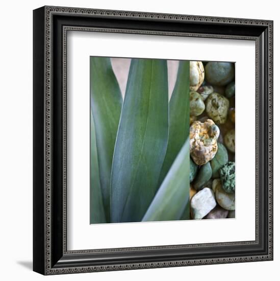 Desert Zen III-Sidney Aver-Framed Art Print