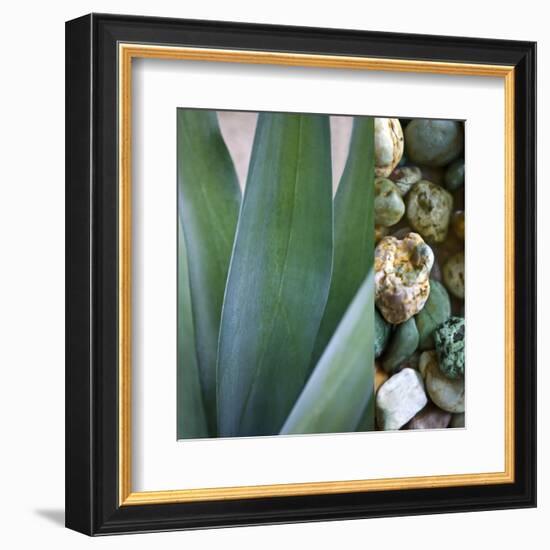 Desert Zen III-Sidney Aver-Framed Art Print