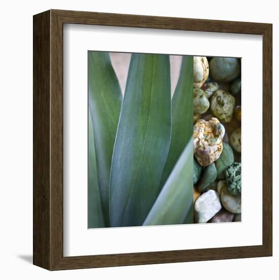 Desert Zen III-Sidney Aver-Framed Art Print