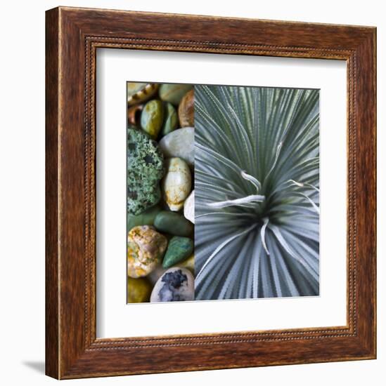 Desert Zen IV-Sidney Aver-Framed Art Print