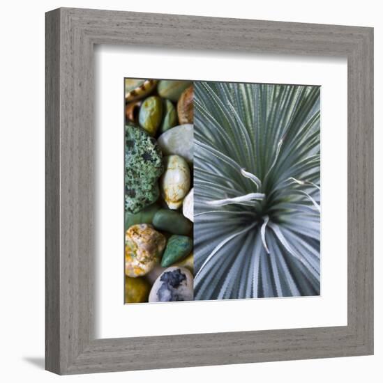 Desert Zen IV-Sidney Aver-Framed Art Print