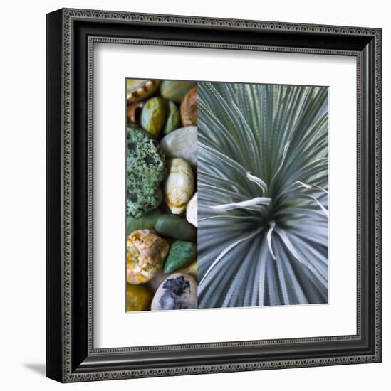 Desert Zen IV-Sidney Aver-Framed Art Print