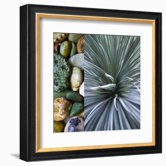 Desert Zen IV-Sidney Aver-Framed Art Print