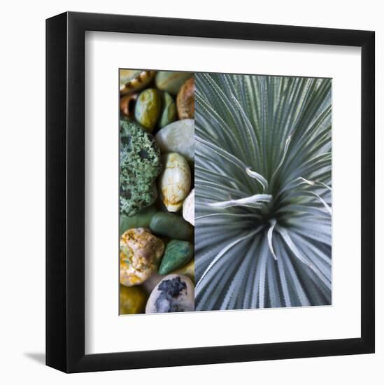 Desert Zen IV-Sidney Aver-Framed Art Print