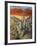 Desert-Trevor V. Swanson-Framed Giclee Print