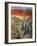 Desert-Trevor V. Swanson-Framed Giclee Print