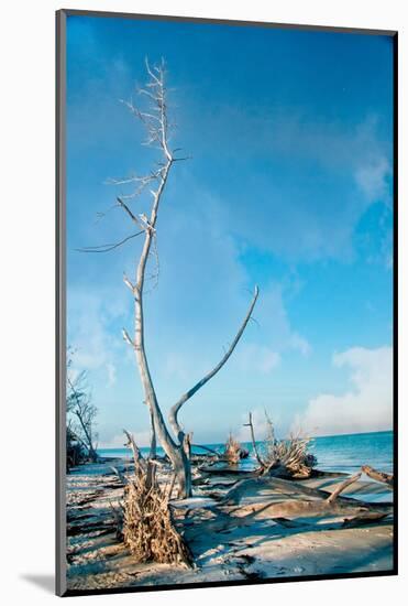 Deserted Beach 2-Mary Lou Johnson-Mounted Photo