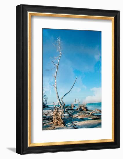 Deserted Beach 2-Mary Lou Johnson-Framed Photo