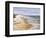 Deserted Beach with Seagulls-T^ C^ Chiu-Framed Art Print