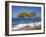 Deserted Island Beach, Lumbarda, Corcula (Korcula) Island, Southern Dalmatia, Croatia, Europe-Peter Higgins-Framed Photographic Print