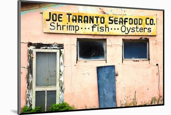 Deserted Old Oyster House, Apalachicola, Florida, USA-Joanne Wells-Mounted Photographic Print