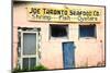 Deserted Old Oyster House, Apalachicola, Florida, USA-Joanne Wells-Mounted Photographic Print