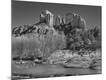 Premium Photographic Print