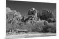 Premium Photographic Print