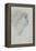 Desiderium-Edward Burne-Jones-Framed Premier Image Canvas