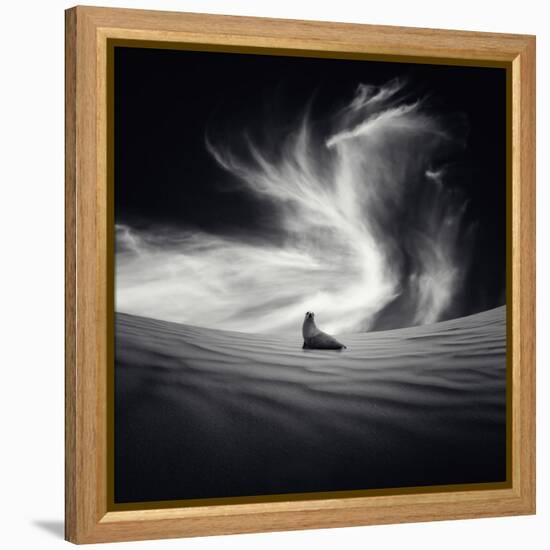 Desierto-Luis Beltran-Framed Premier Image Canvas