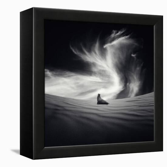 Desierto-Luis Beltran-Framed Premier Image Canvas