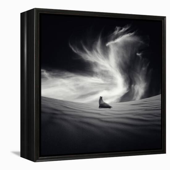 Desierto-Luis Beltran-Framed Premier Image Canvas