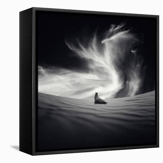 Desierto-Luis Beltran-Framed Premier Image Canvas