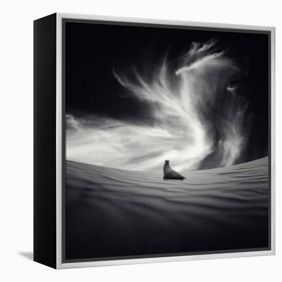 Desierto-Luis Beltran-Framed Premier Image Canvas