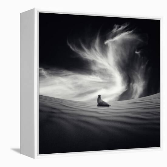 Desierto-Luis Beltran-Framed Premier Image Canvas