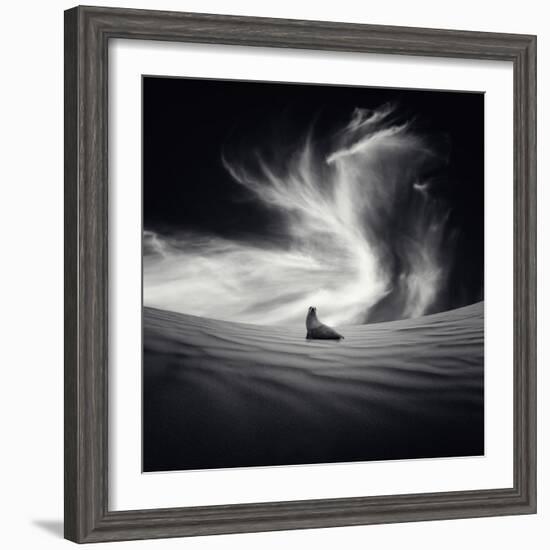 Desierto-Luis Beltran-Framed Photographic Print