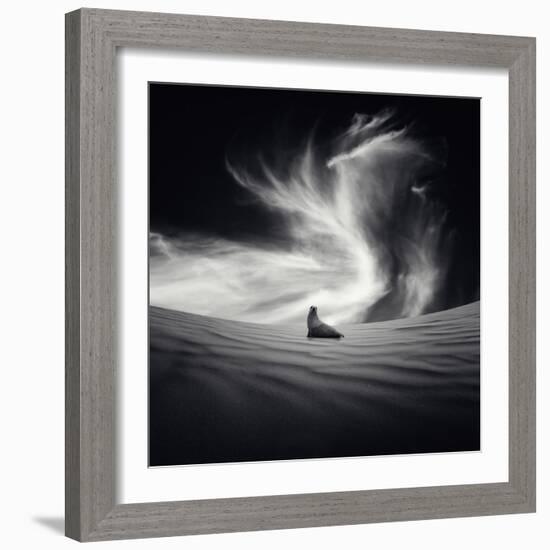 Desierto-Luis Beltran-Framed Photographic Print