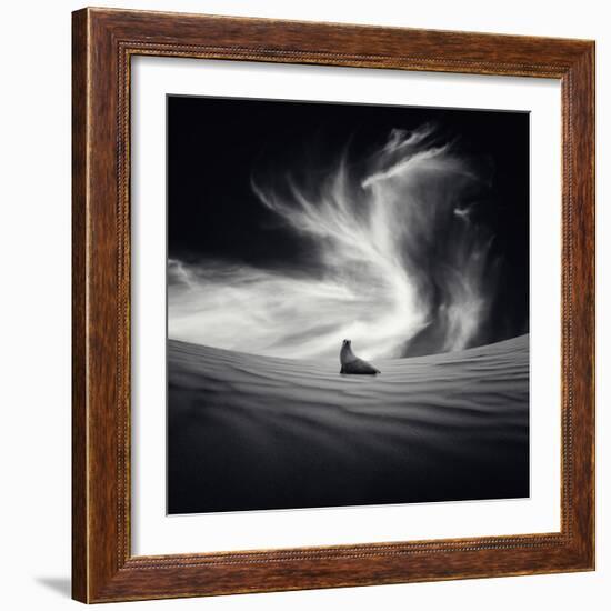 Desierto-Luis Beltran-Framed Photographic Print