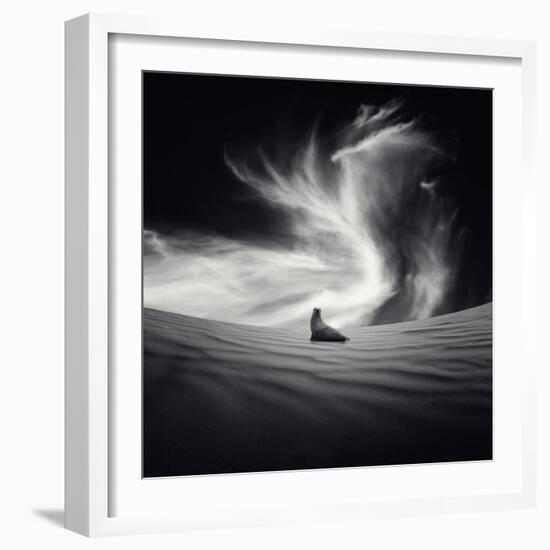 Desierto-Luis Beltran-Framed Photographic Print