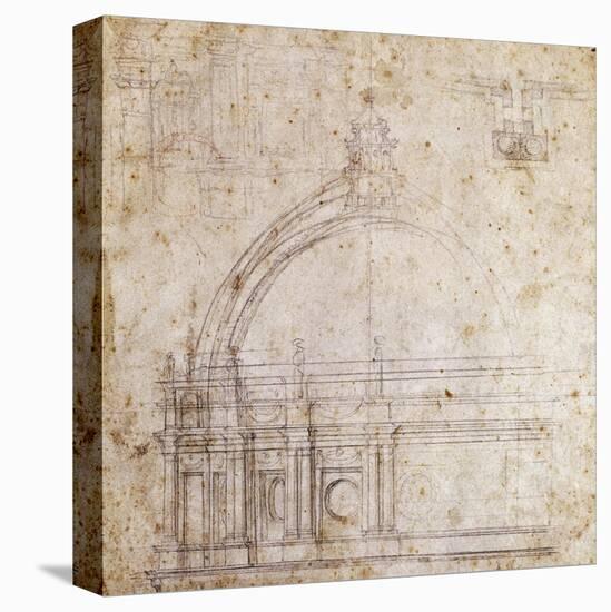 Stretched Canvas Print, , large