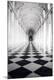 Photographic Print