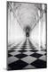 Photographic Print