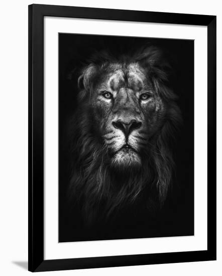 Photographic Print, , large