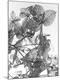 Photographic Print