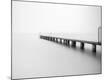 Premium Photographic Print