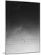 Premium Photographic Print