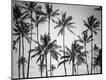 Premium Photographic Print