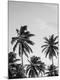 Premium Photographic Print