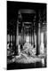 Premium Photographic Print